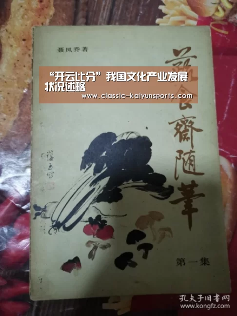 “开云比分”我国文化产业发展状况述略
